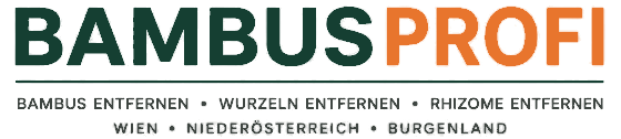 Bambusprofi