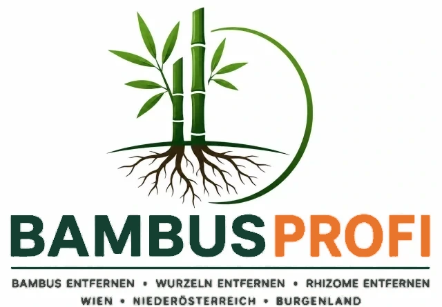 Bambusprofi