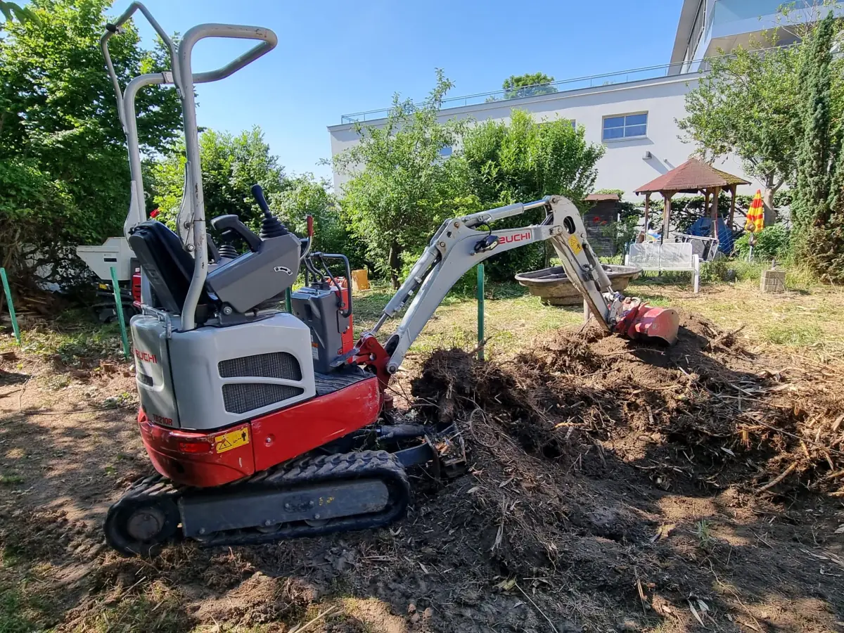 Minibagger entfernt Bambuswurzeln und Rhizome