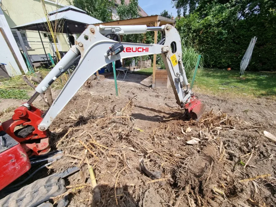 Minibagger legt Bambusrhizome im Boden frei