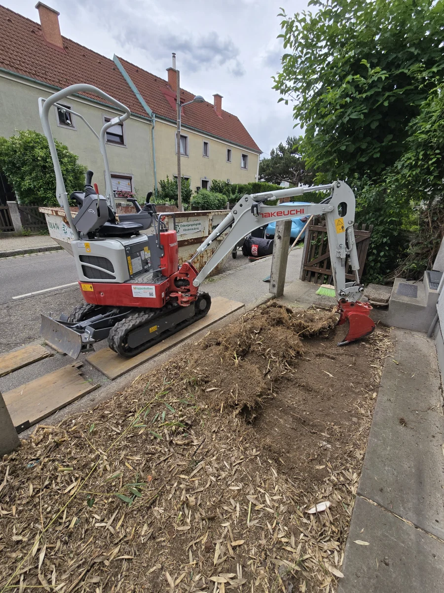 Bambusentfernung während der Arbeiten