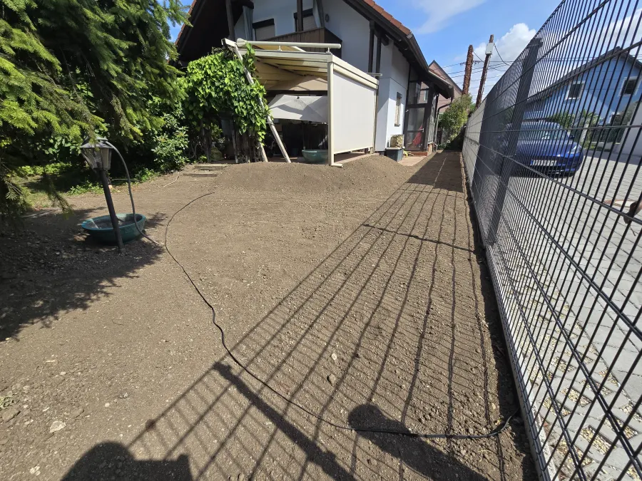 Geräumte Fläche nach einer Bambusrodung